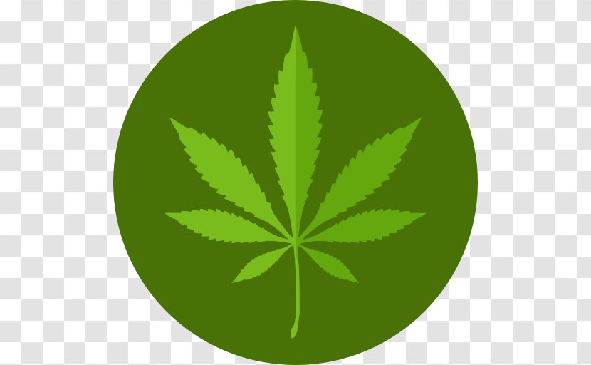 Medical Cannabis Kush Marijuana Card Icon Transparent PNG