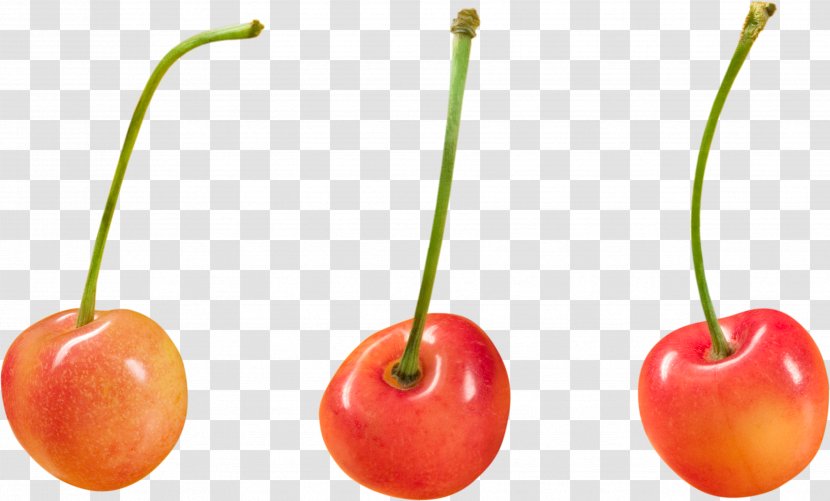 Cherry Superfood Paprika Capsicum - Image Transparent PNG