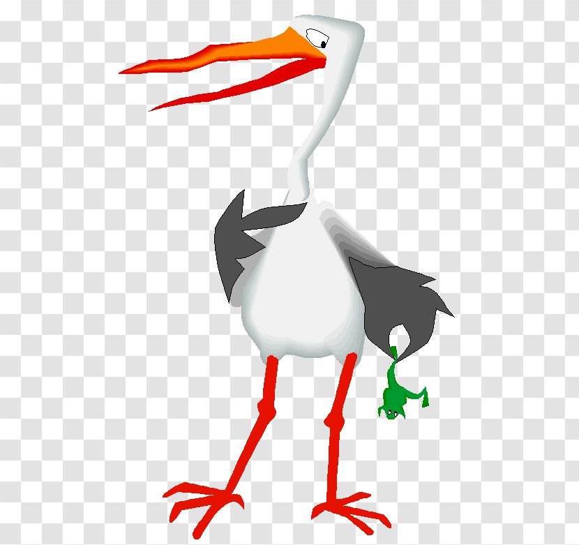 White Stork Bird Beak Clip Art - Ducks Geese And Swans Transparent PNG