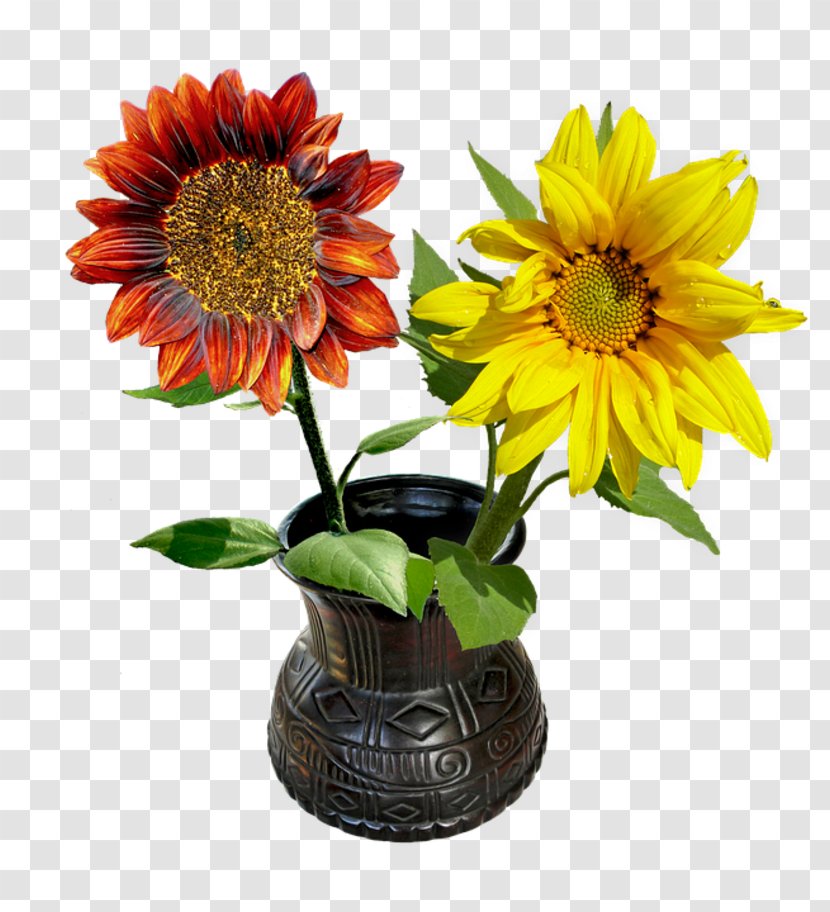 Common Sunflower Vase Seed Flowerpot - Flower Transparent PNG