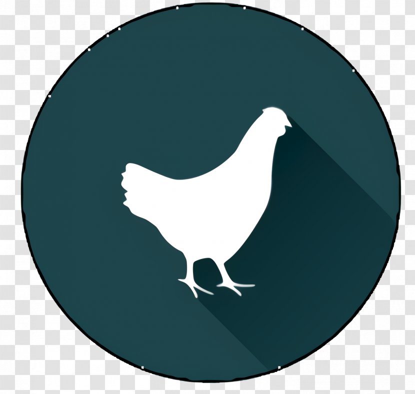 Bird - Feather - Symbol Transparent PNG