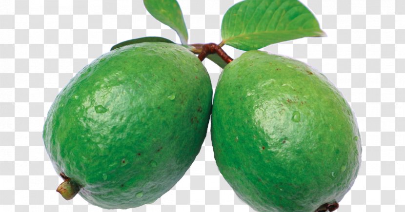 Juice Common Guava Feijoa Fruit Transparent PNG