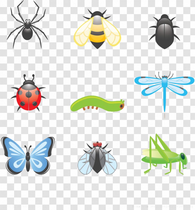 Beetle Cartoon Clip Art - Insect - Insects Transparent PNG