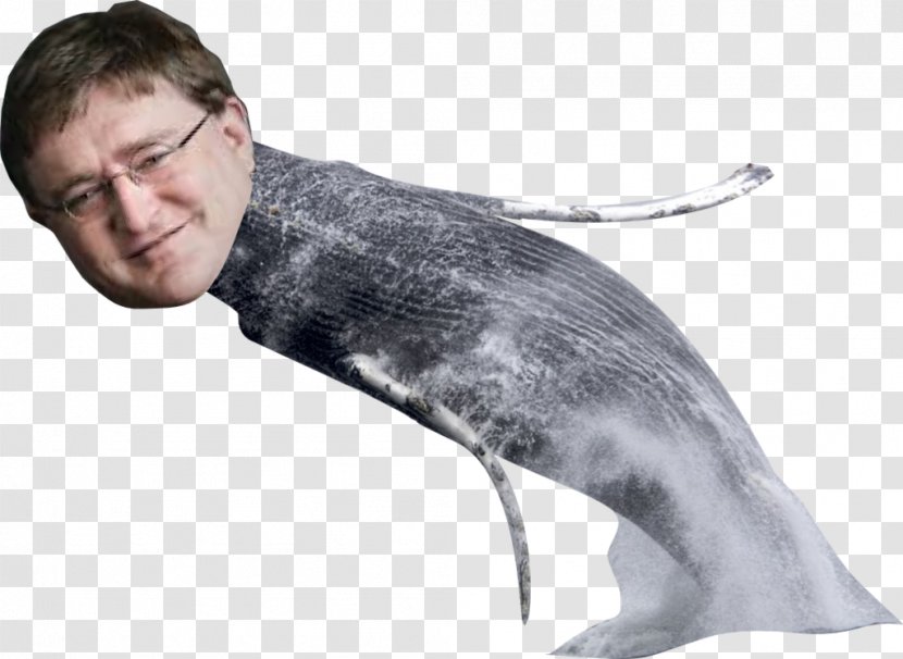 Gabe Newell Half-Life 2: Episode Three Cetacea Minecraft Digital Art - Cartoon - Valve Gaben Transparent PNG