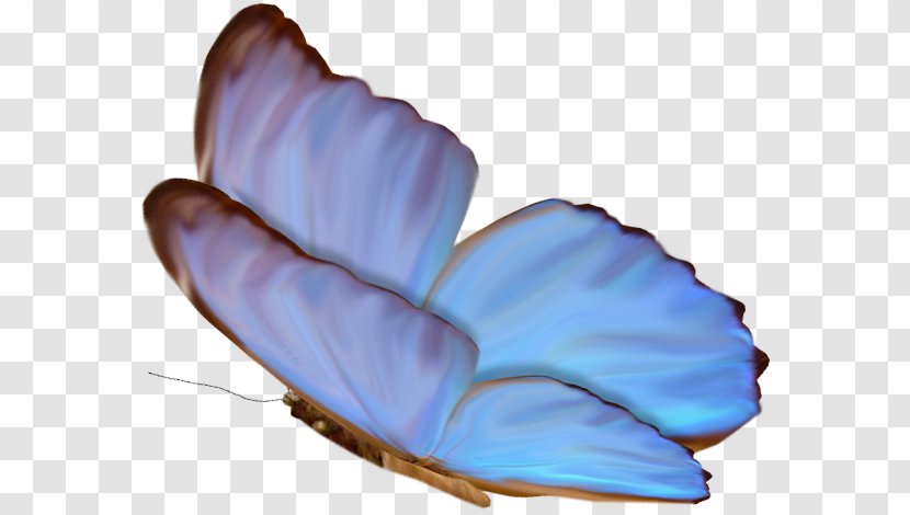 M. Butterfly Purple - Leaf - Blue tree Transparent PNG