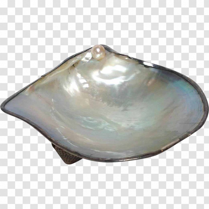 Clam Oyster Cultured Pearl Ostreidae Seashell - Jewellery Transparent PNG