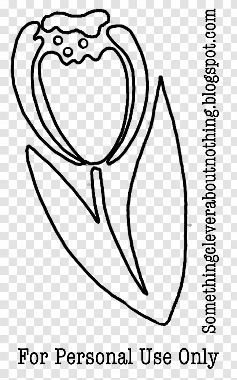 Drawing Line Art Coloring Book - Frame - Chin Material Transparent PNG
