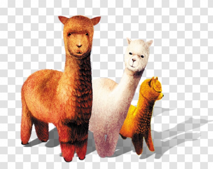 Alpaca Grass Mud Horse Sheep Llama Stuffed Toy - Cartoon Transparent PNG