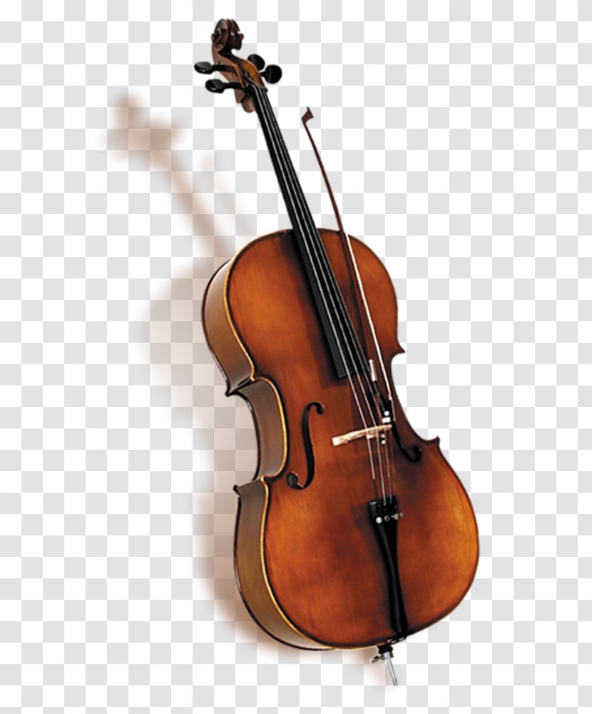 Bass Violin Double Violone Viola - Cartoon - Shadow Transparent PNG