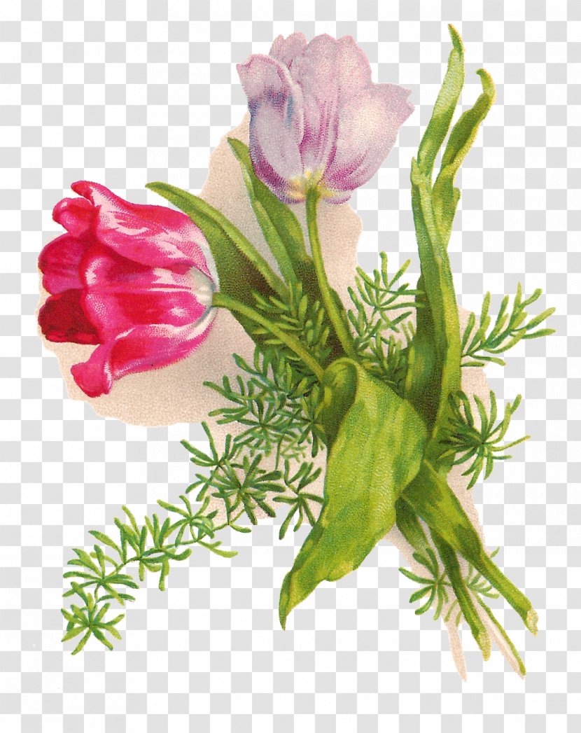 Easter Bunny Wedding Invitation Greeting & Note Cards Clip Art - Bud - Botanical Transparent PNG