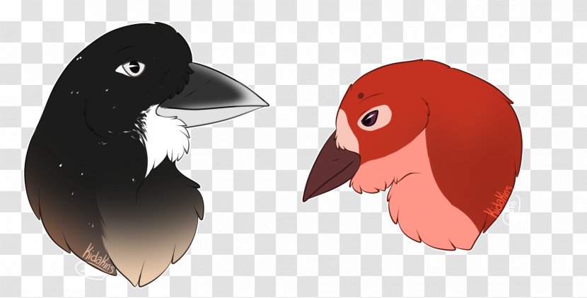 Bird Chicken Galliformes Beak Animal - Figure - Kida Transparent PNG