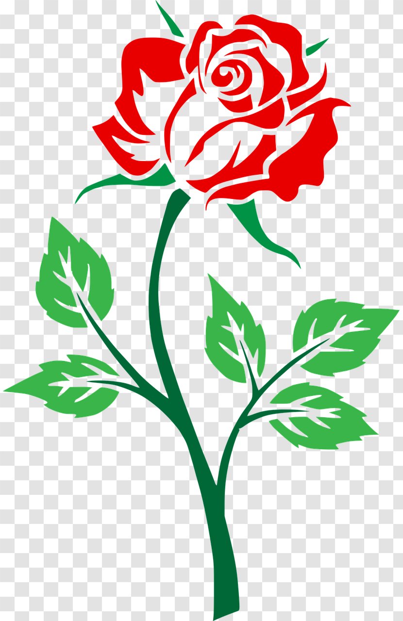 Rose Clip Art - Floral Design - Steve Borden Transparent PNG