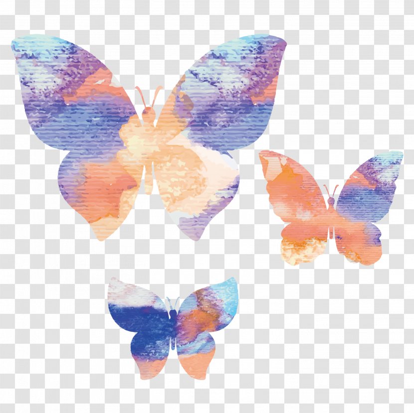 Butterfly Watercolor Painting Graphic Design - Moths And Butterflies - Colorful Singles Transparent PNG