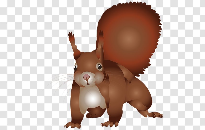 Squirrel Cartoon Illustration - Rodent - Brown Transparent PNG