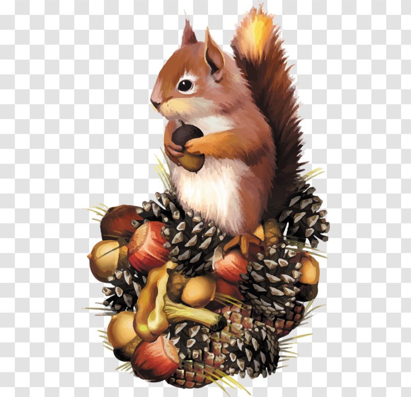 Squirrel Chipmunk Clip Art - Mammal - Vo Transparent PNG