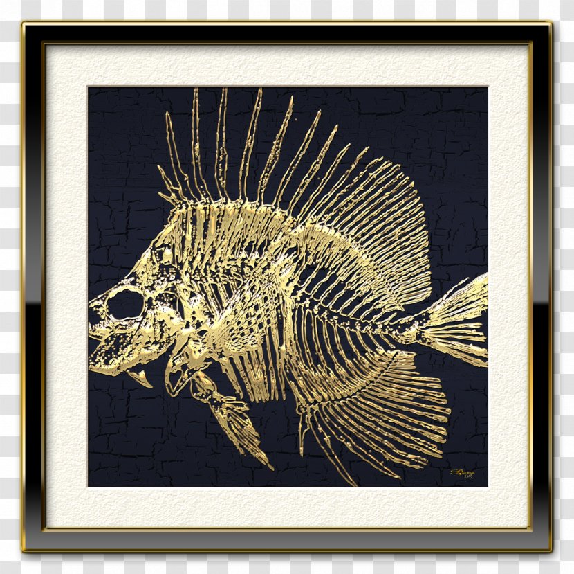 Picture Frames Printmaking Organism - Fish Skeleton Transparent PNG