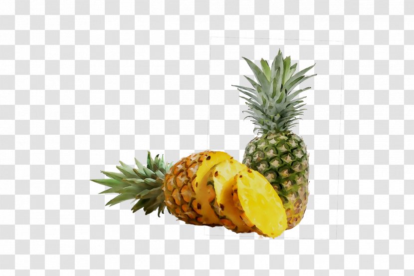 Pineapple Superfood - Natural Foods - Pine Family Transparent PNG