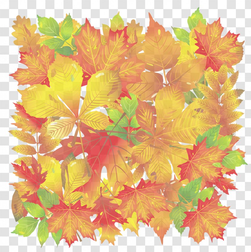 Leaf Yellow Flower Plant Perennial Transparent PNG