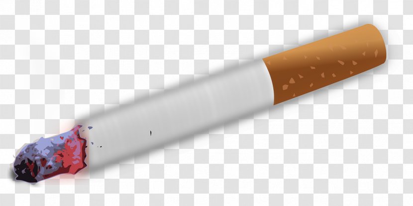 Electronic Cigarette Tobacco Smoking - Tree - Burning Transparent PNG