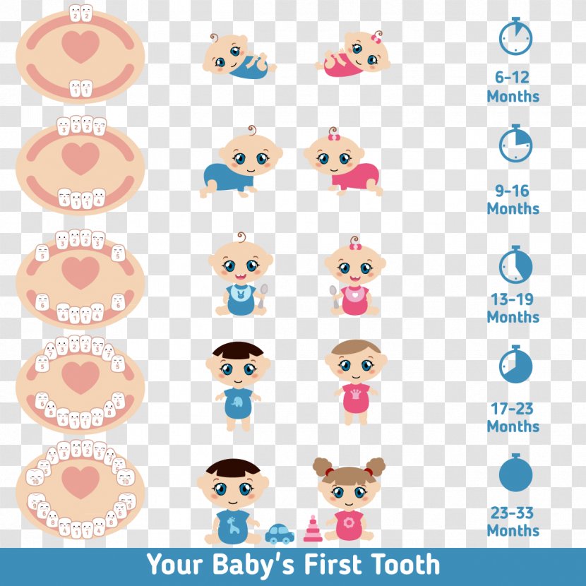 Teething Infant Deciduous Teeth Tooth Eruption - Child - Cartoon Baby Transparent PNG