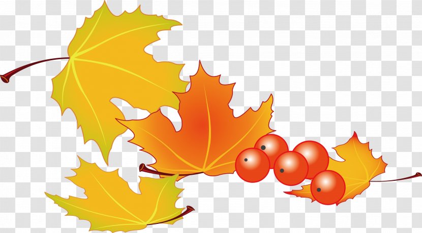 Leaf - Computer Graphics - Autumn Leaves Vector Material Transparent PNG