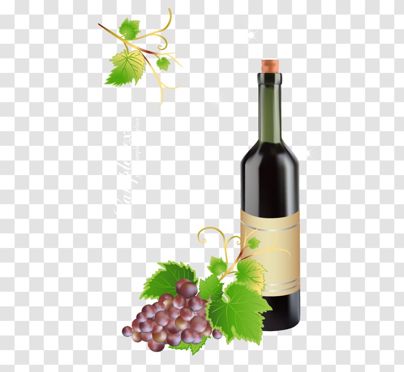 Red Wine Bottle Grape - Vitis - Bottles Vector Material Transparent PNG