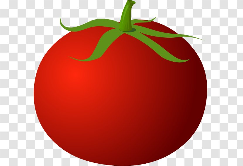 Tomato Clip Art - Drawing - Vector Transparent PNG