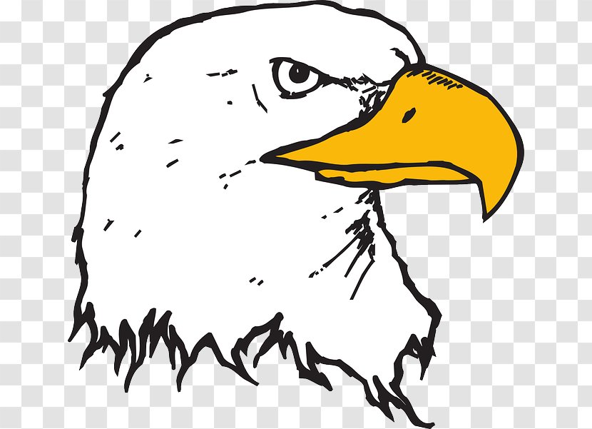 Bald Eagle Clip Art - Yellow Transparent PNG