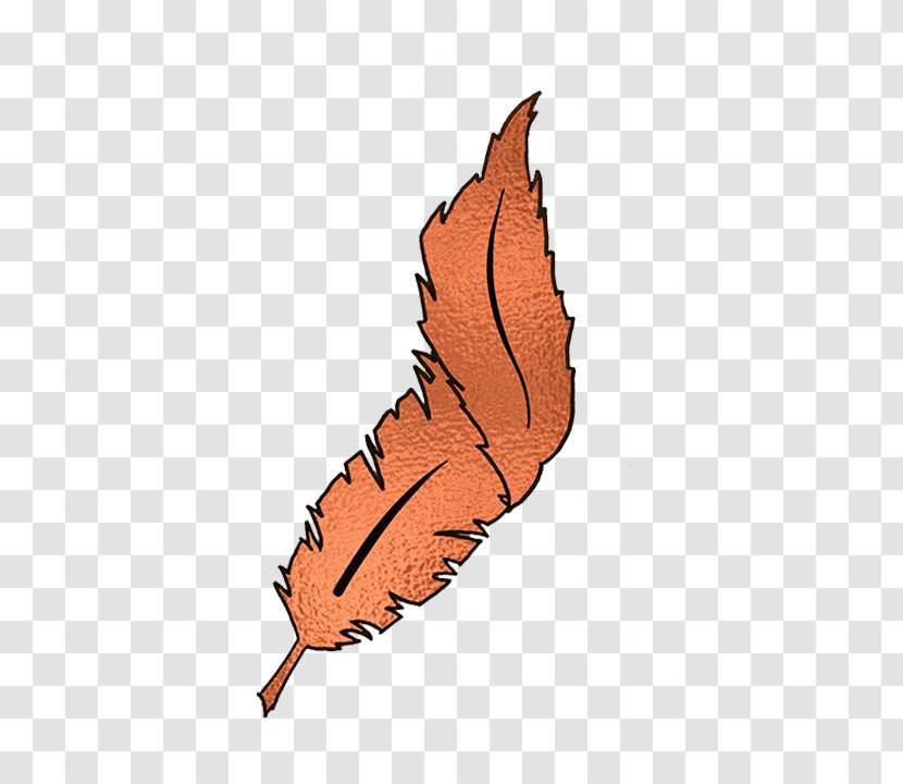 Copper Feather Business Leaf Service Goal - Phoenix Transparent PNG