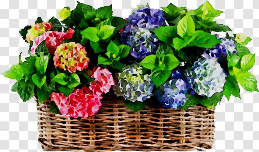 Hydrangea Floral Design Cut Flowers Flower Bouquet - Petal Transparent PNG
