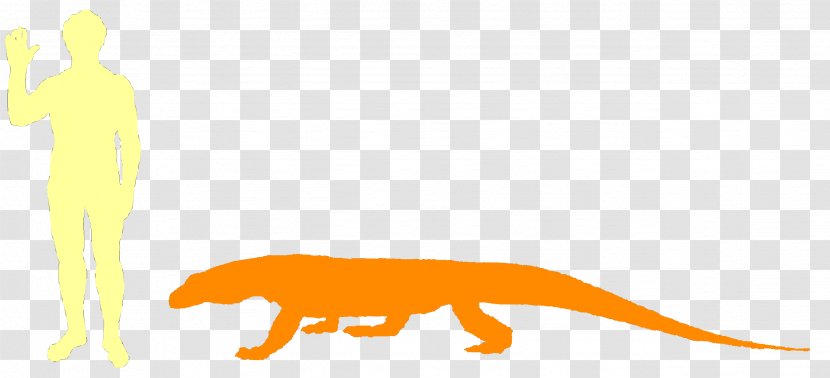 Tyrannosaurus Mammal Cartoon - Wildlife - Komodo Transparent PNG