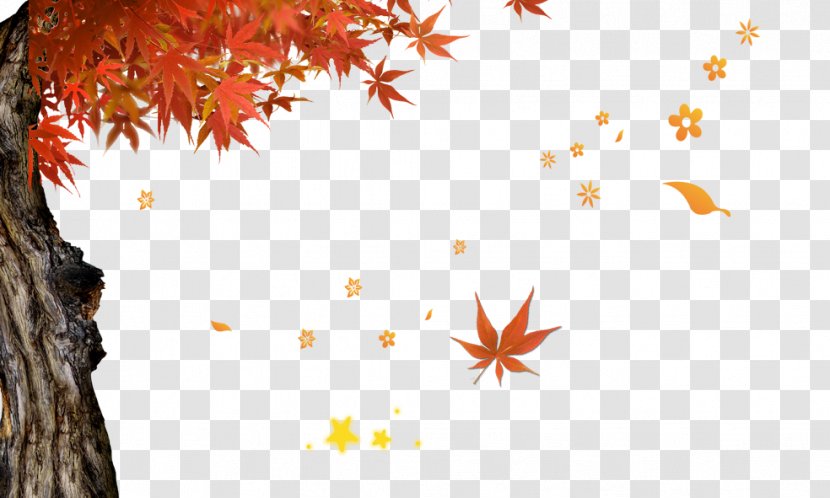 Text Leaf Illustration - Autumn Transparent PNG