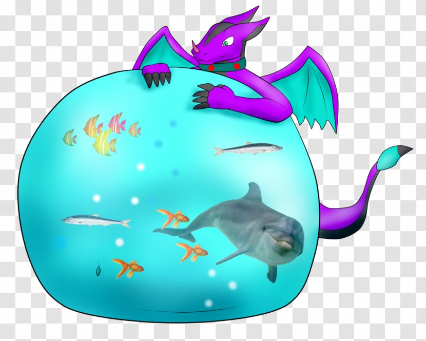 Dolphin Shark Porpoise Marine Biology Cetaceans - Fish - Inflation Body Transparent PNG