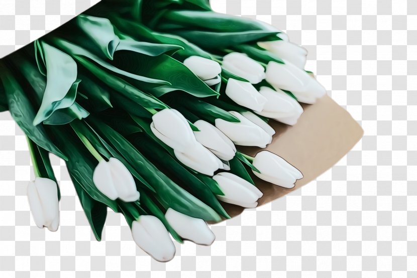 White Lily Flower - Hand - Plant Transparent PNG