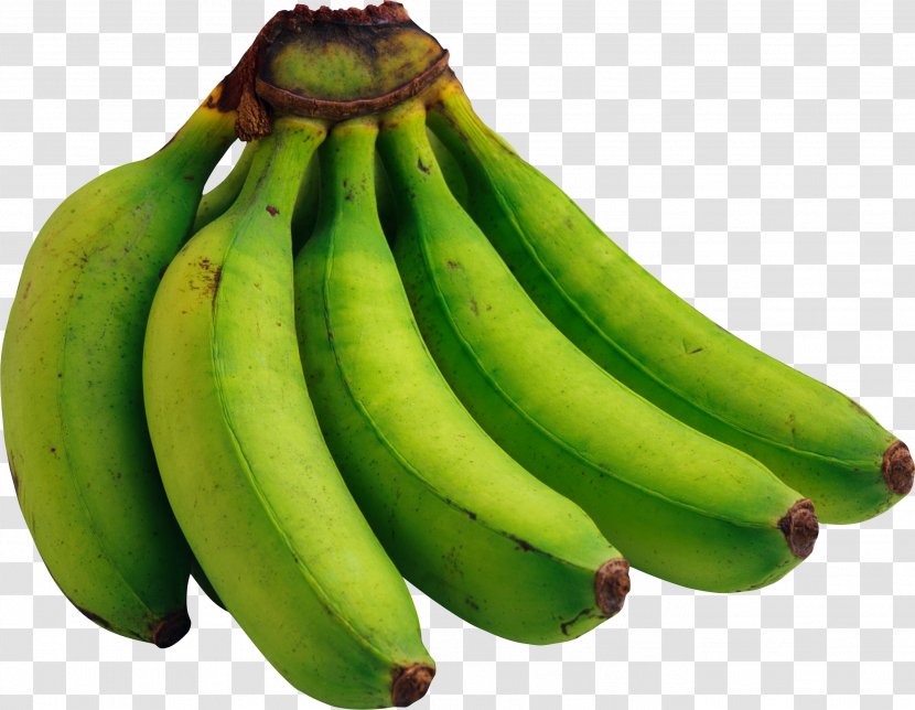 Cooking Banana Vegetarian Cuisine Green Fruit - Family - Bananas Image, Free Picture Transparent PNG