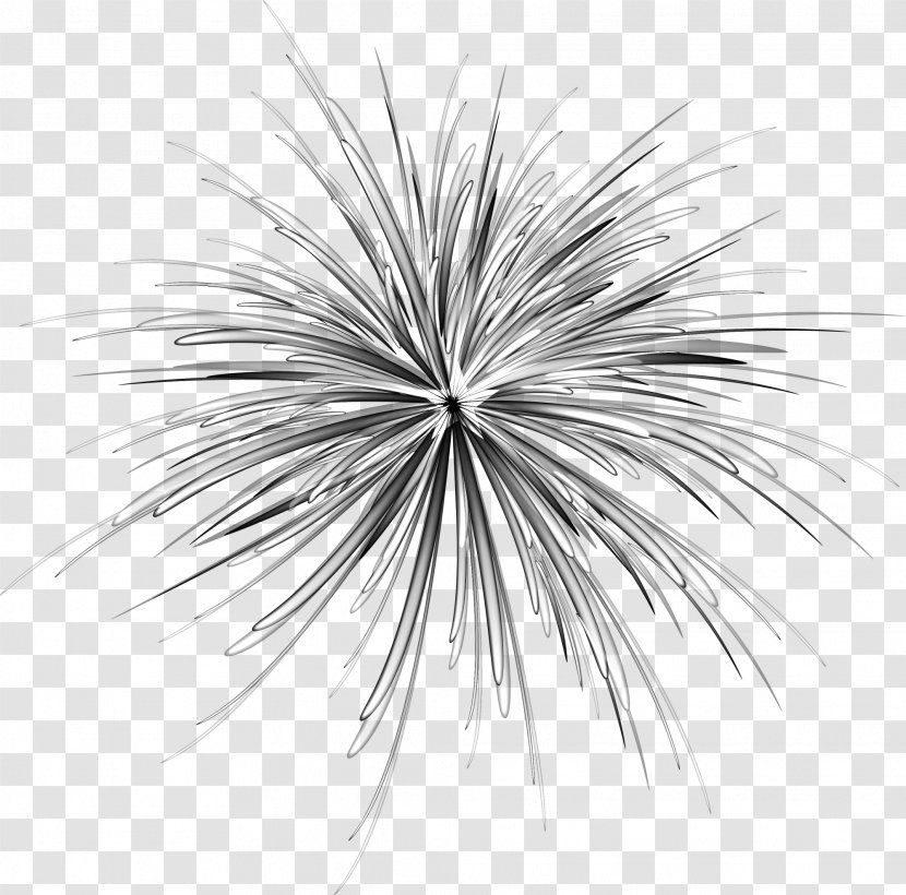 Dandelion Black And White - Monochrome - Hand Painted Transparent PNG