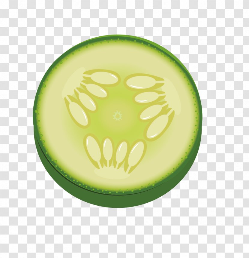 Cantaloupe Melon - Muskmelon Transparent PNG