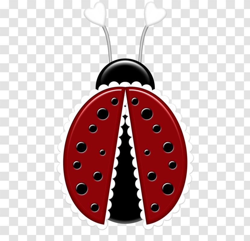 Ladybird Volkswagen Beetle Clip Art - Invertebrate - Cartoon Transparent PNG