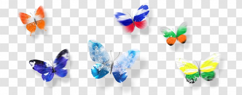 Eurovision Song Contest 2013 2017 2016 Singing - Insect - Dazzling Light Effects Elements Flap Transparent PNG