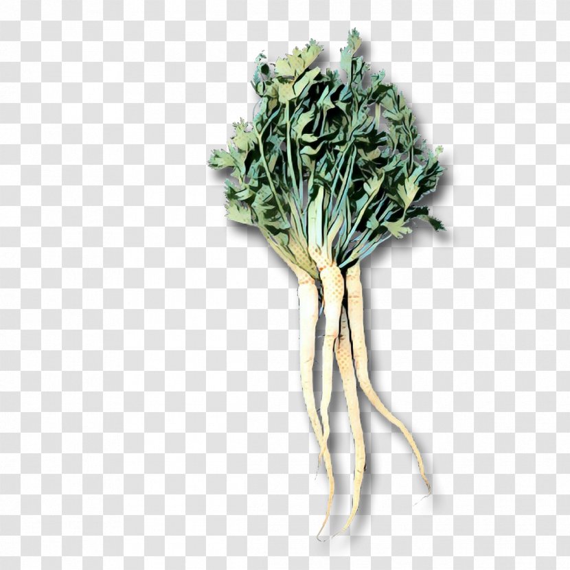 Vintage Flower - Celery - Plant Stem Herb Transparent PNG
