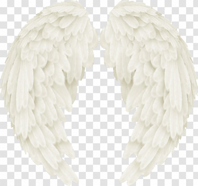 Image White Centerblog Vector Graphics - Wings Angel Transparent PNG