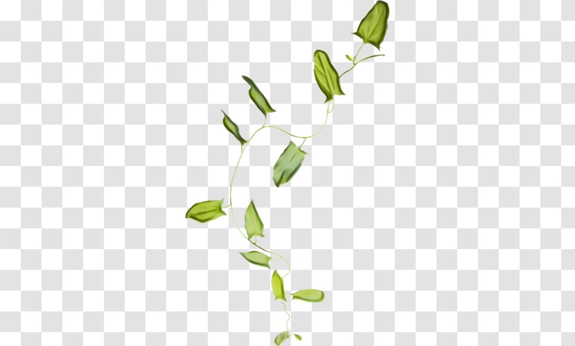 Twig Plant Stem Leaf Clip Art Floral Design - Bud Transparent PNG