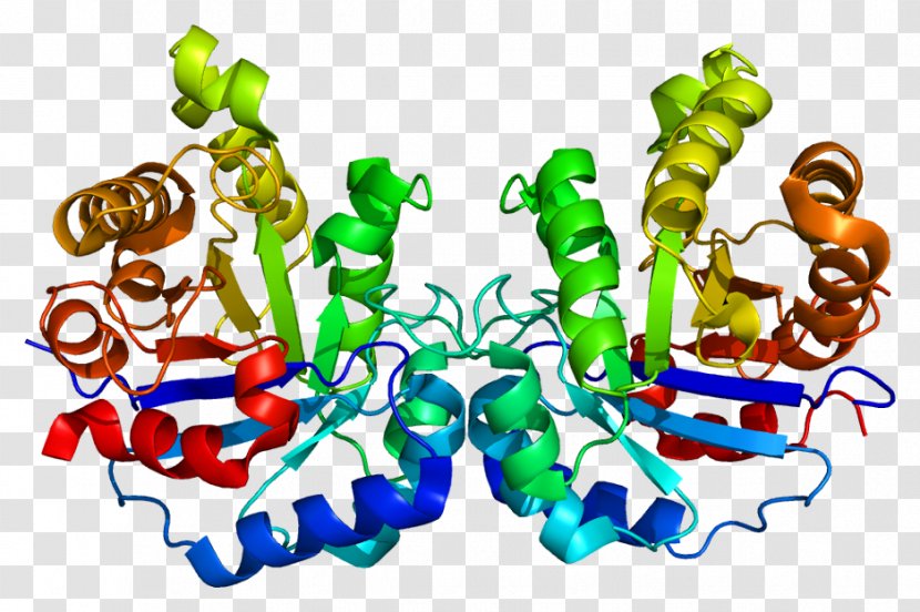 Hepatotoxicity Liver Metabolite Microsome - Text - Art Transparent PNG