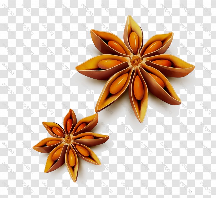 Ingredient Flavor Orange S.A. - Star Anise Transparent PNG