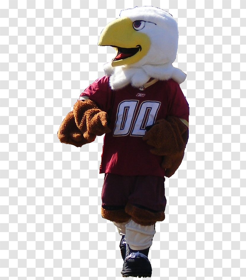 Boston College Baldwin The Eagle Mascot Costume - Outerwear - Virginia Tech Transparent PNG