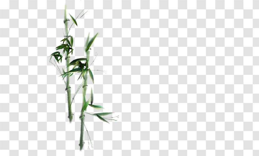 Bamboo Twig Plant Stem - Hand-painted Transparent PNG