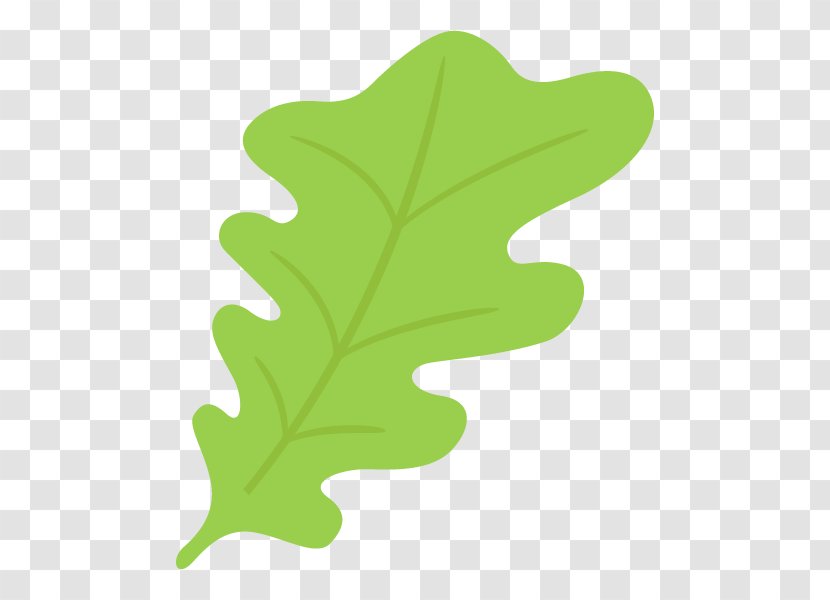 Leaf Plant Stem Tree Flowering Plants - Green Transparent PNG