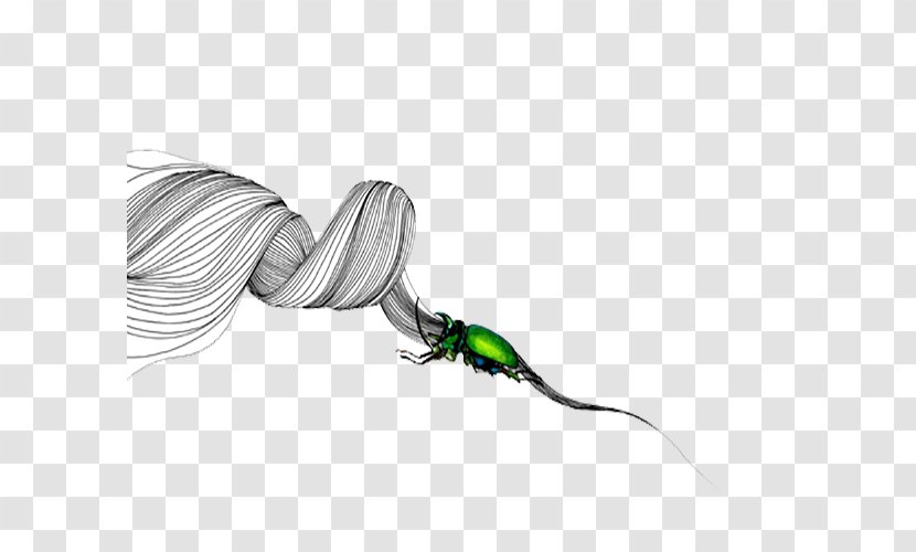 Insect White - Software - Simple Lines Of Insects Transparent PNG
