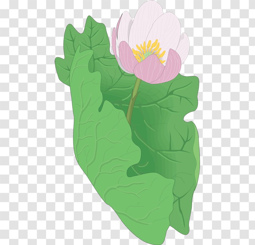 Petal Leaf Flowering Plant Clip Art - On The Go Transparent PNG