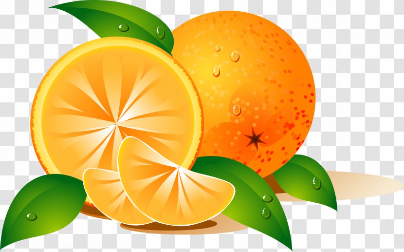 Orange Desktop Wallpaper Fruit Clip Art - Peel Transparent PNG